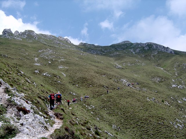 Pale di San Lucano