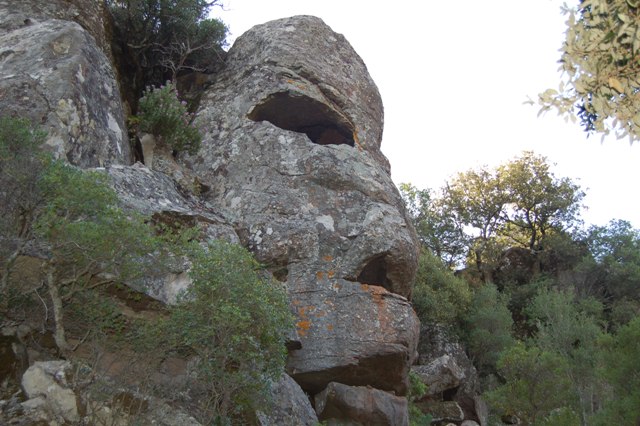 Sardegna - testa gigante