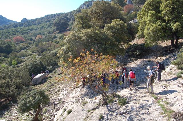 Sardegna - Verso Punta Salinas