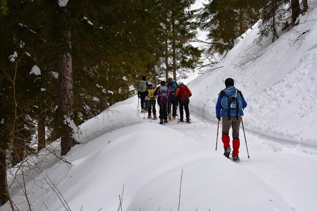 Monte Agaro - Tesino