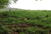 Monte Catria