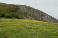 Monte Catria