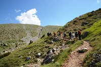 Meteore 2015