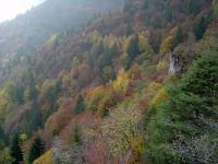 Monte Corno 2004
