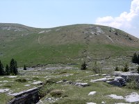 Montefior 2005
