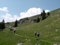 Montefior 2005