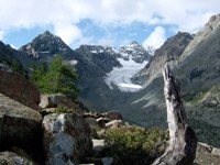 Val Malenco 05