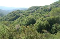 Cascate dell'Acquacheta