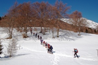 Monte Altissimo di Nago