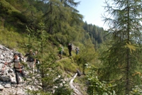 4 Passi nel Cadore - rif Antelao