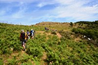 Parco nazionale dell'Aspromonte