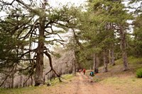 Parco nazionale dell'Aspromonte