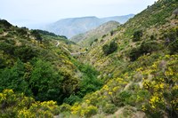 Parco nazionale dell'Aspromonte