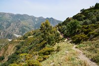 Parco nazionale dell'Aspromonte