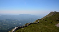 Fiori del monte Baldo