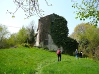 Colli Berici
