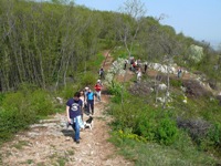 Colli Berici