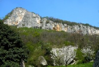 Colli Berici