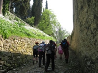 Colli Berici