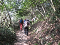 Colli Berici