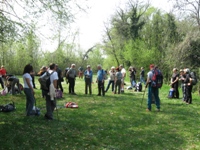 Colli Berici