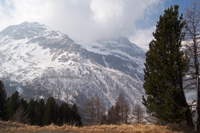 S.Moritz con il Bernina express
