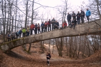 Brandola e il ponte del Diavolo