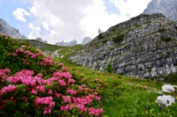 Attraversata del  Brenta