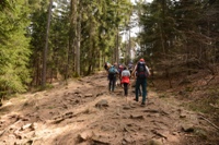 Monte Calisio