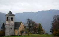 Sentiero del castagno