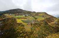 Sentiero del castagno