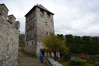 Sentiero del castagno