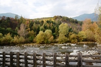 Sentiero del castagno