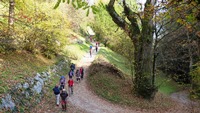 Sentiero del castagno