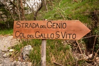 Col del Gallo-Cismon del Grappa