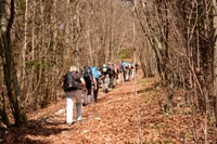 Col del Gallo-Cismon del Grappa