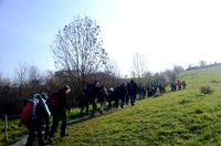 Camminata sui colli bolognesi