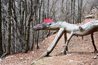 Corno d'Aquilio