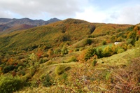 Da Monteorsaro al Cusna