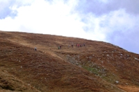 Da Monteorsaro al Cusna