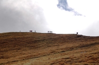 Da Monteorsaro al Cusna