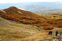 Da Monteorsaro al Cusna