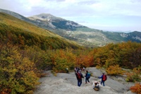 Da Monteorsaro al Cusna