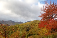 Da Monteorsaro al Cusna
