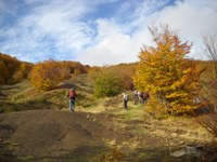 Da Monteorsaro al Cusna