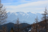 Ciaspolata in Val Sugana-rif. Erterle