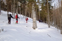 Folgaria - monte Cornetto