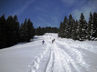 Folgaria - monte Cornetto