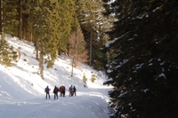 Folgaria - monte Cornetto