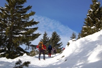 Folgaria - monte Cornetto